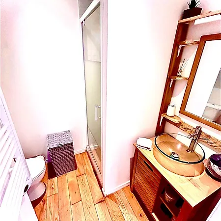 Le Patio Jacuzzi Centre Apartment Toulouse Exterior photo